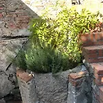 Appartement Palazzetto Di Castelmaggiore Calci