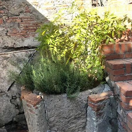 Appartement Palazzetto Di Castelmaggiore Calci